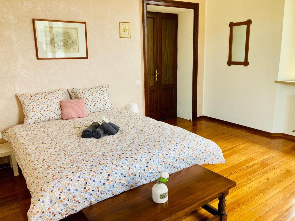 Villa Antonietta モルコテ エクステリア 写真